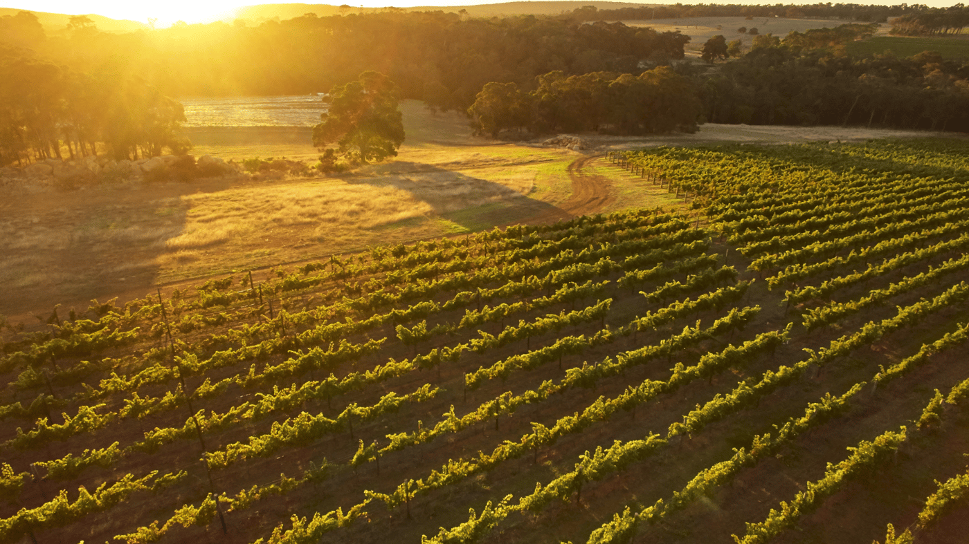 Sample some of the Margaret River region's finest food and wine
