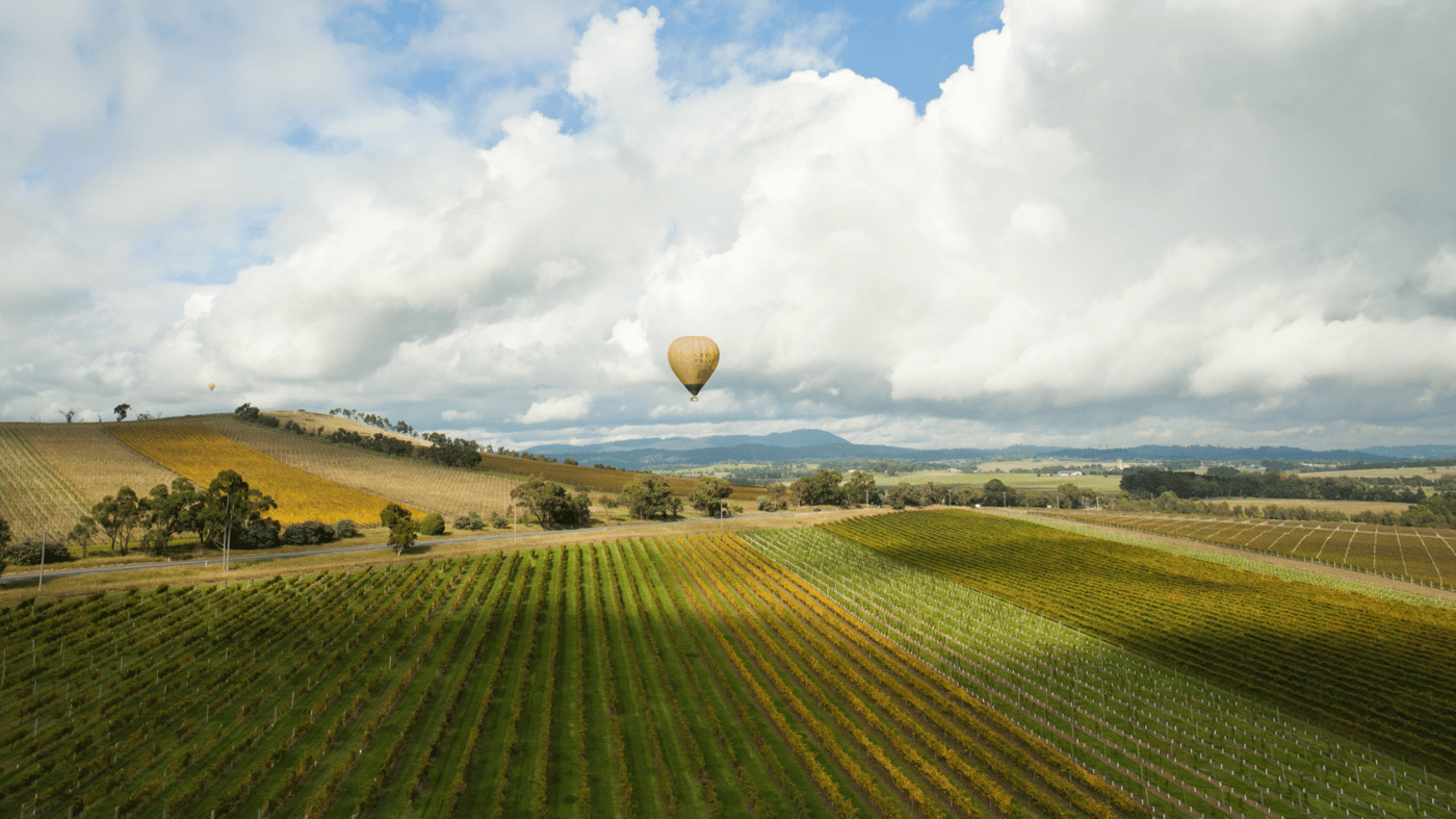 This varied social getaway includes a half-day wine tour of the beautiful Yarra Valley