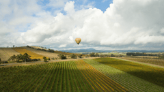 This varied social getaway includes a half-day wine tour of the beautiful Yarra Valley