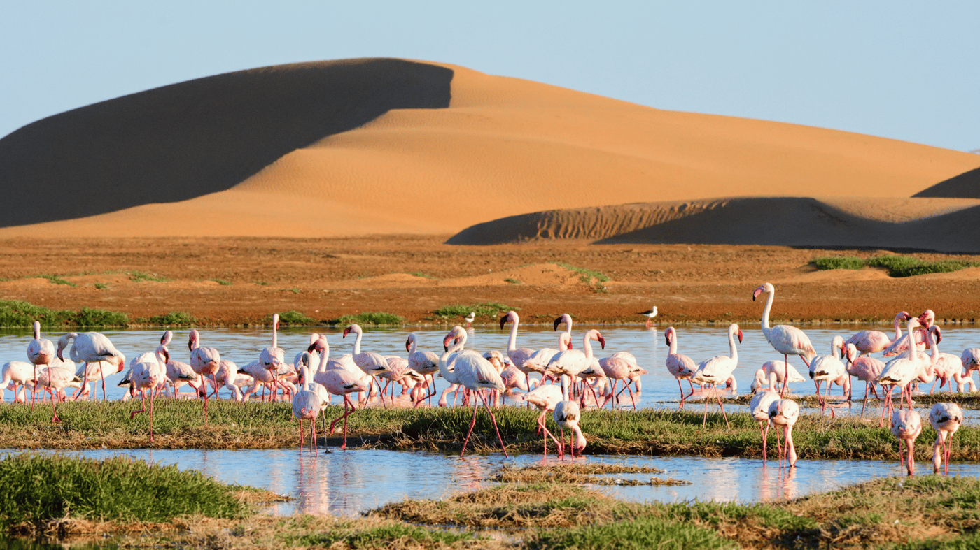 Walvis Bay, Namibia