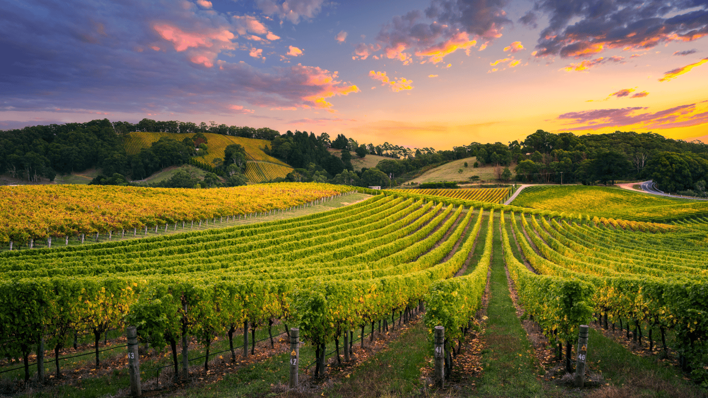 Barossa Valley