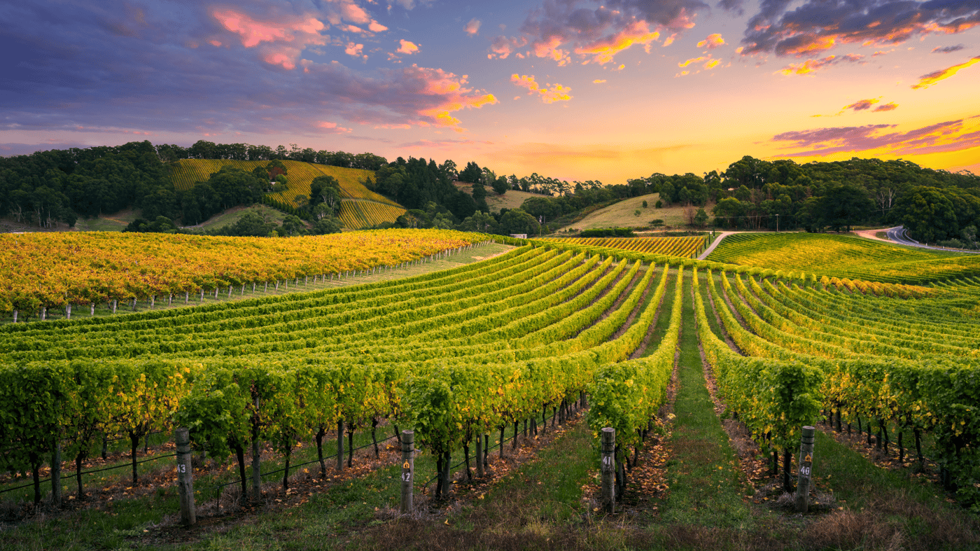 Barossa Valley, Australia