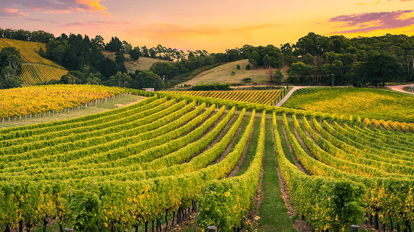 Barossa Valley