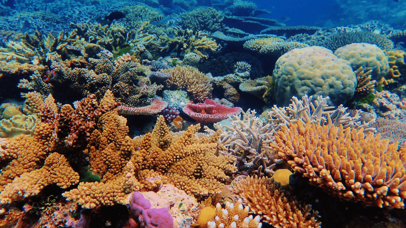 Great Barrier Reef