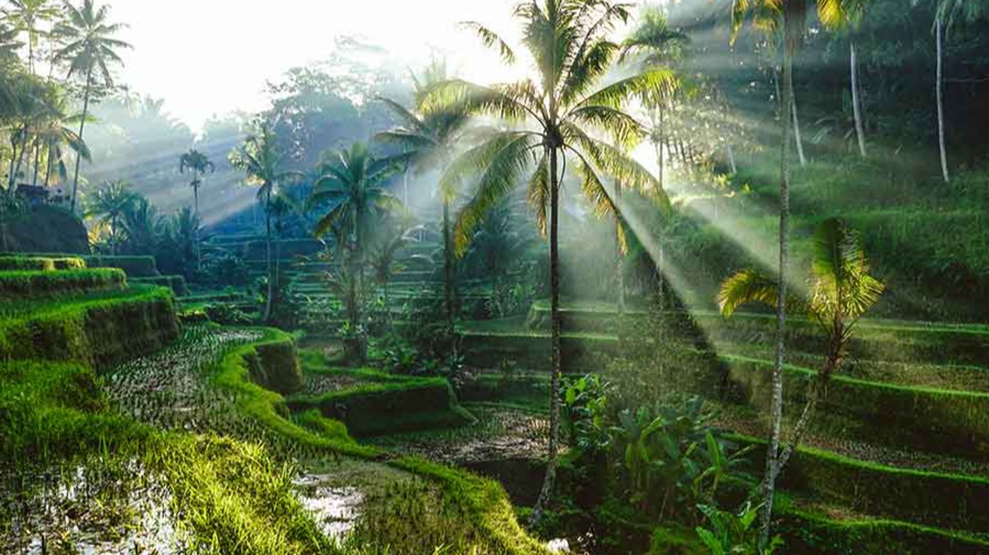 Bali 