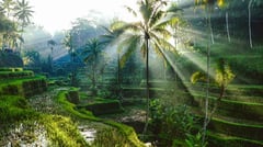 Bali 