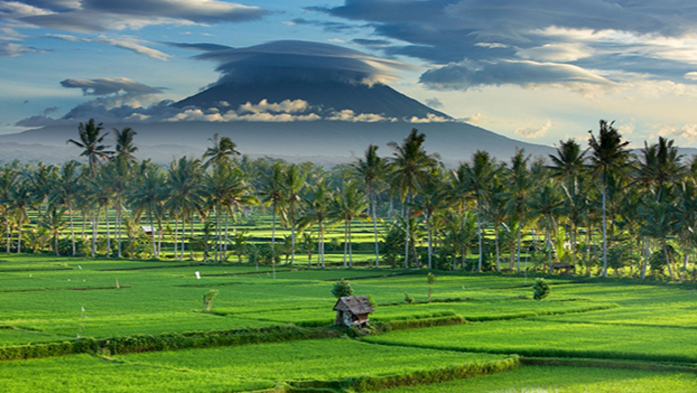 Bali 