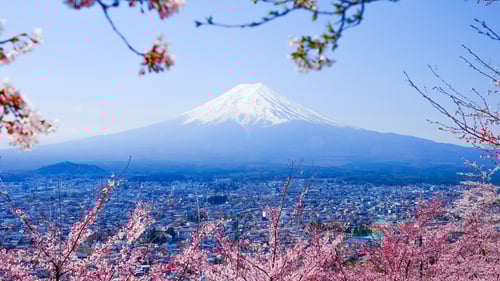 Mount Fuji 