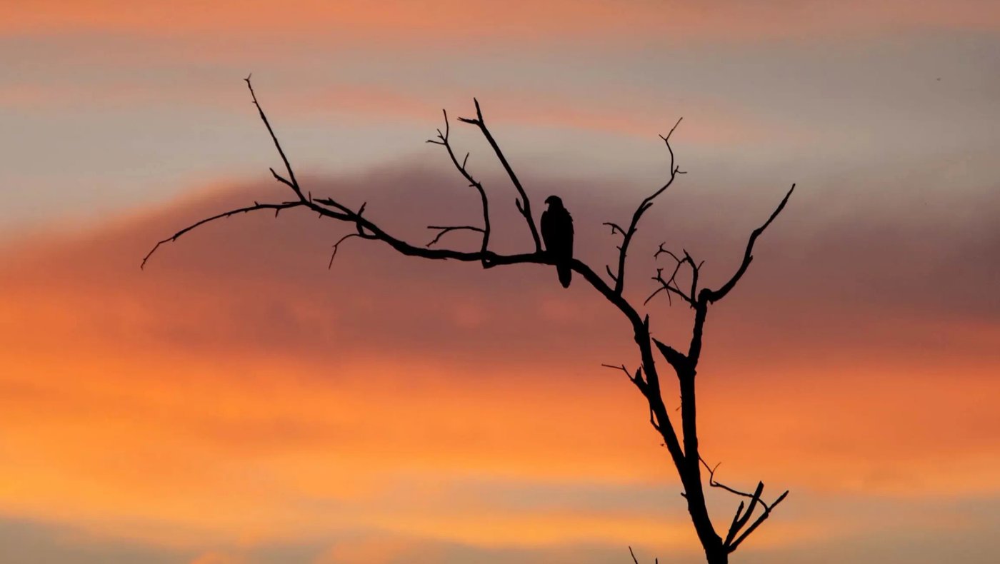 Kakadu -National Park Tour 