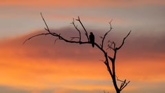 Kakadu -National Park Tour 