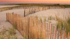 Cape Cod Beach 