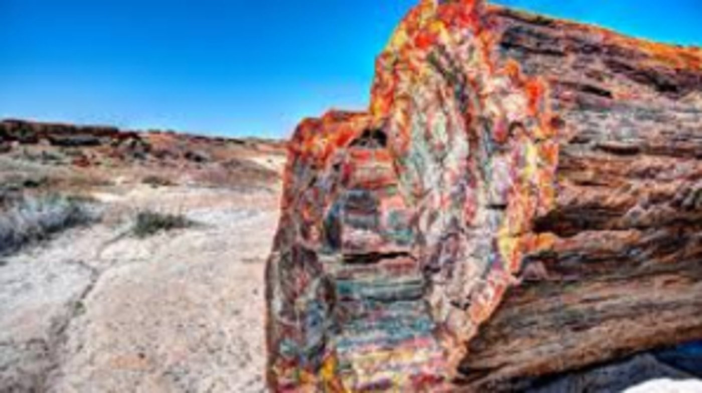 Flagstaff Petrified Forest