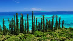 New_Caledonia_Isle_of_Pines_081 (1)