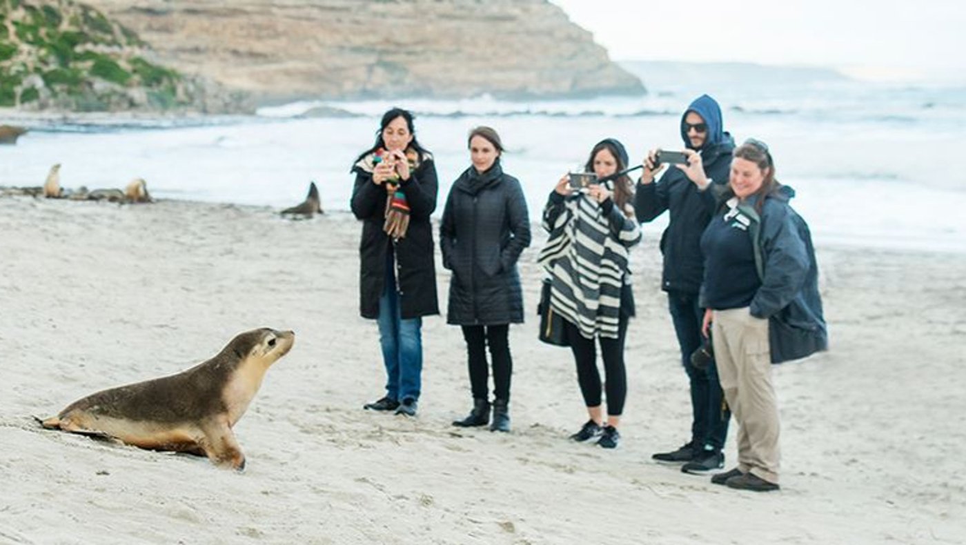 Kangaroo Island - Seal Bay
