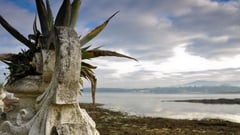 Vigo (tours to Santiago de Compostela), Spain