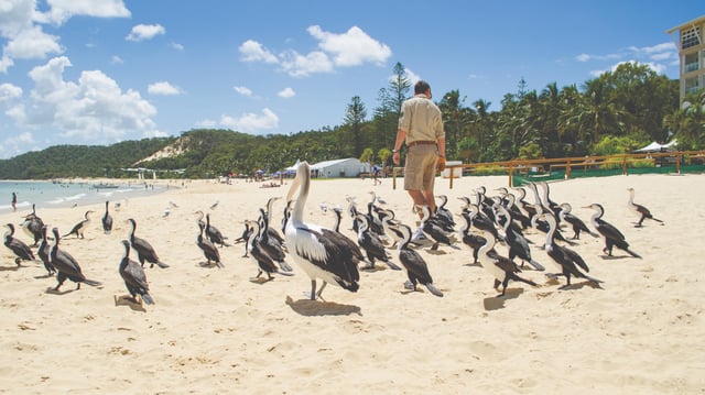 5-Day Coastal Escape to Tangalooma, Moreton Island