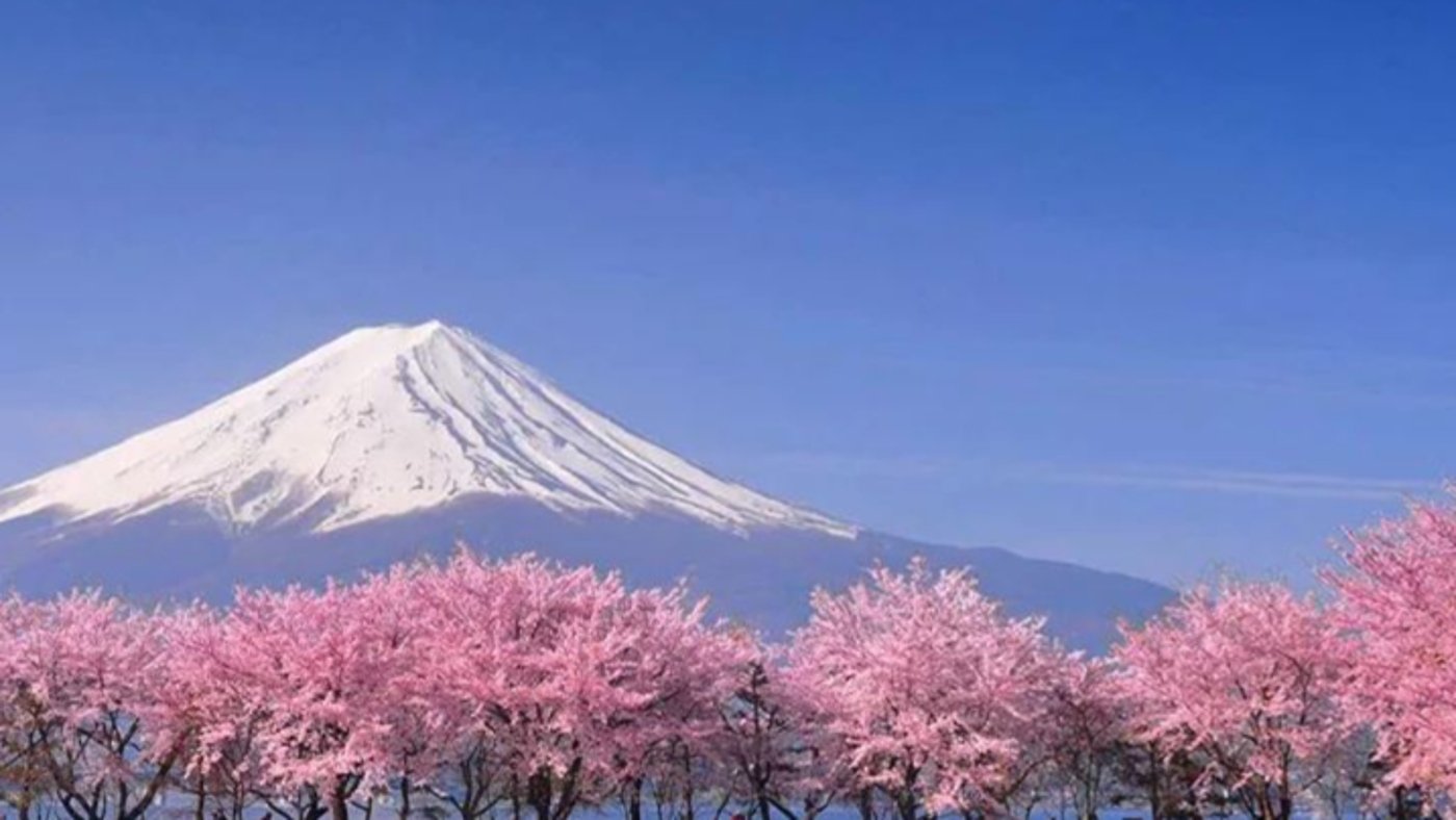 Mt.Fuji - Trafalgar 