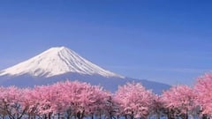 Mt.Fuji - Trafalgar 
