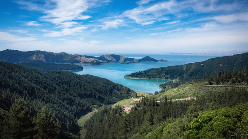 Picton
