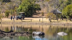 Safaris 
