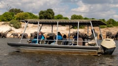 Chobe - Wildlife Safari on Water 