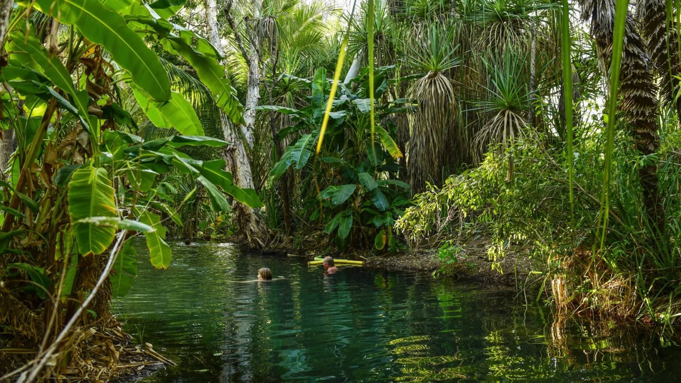 Enjoy a dip at Lorella Springs