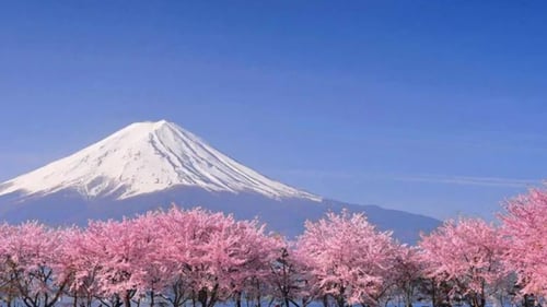 Mt Fuji-