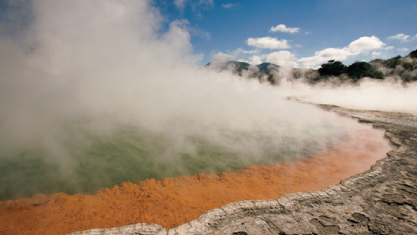 Rotorua Geysers 