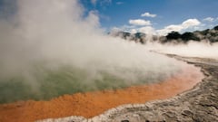 Rotorua Geysers 