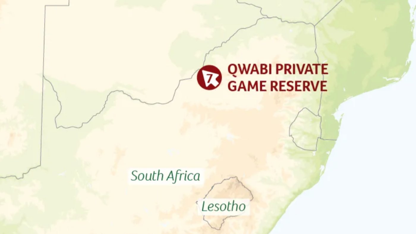 Qwabi Private Game Reserve African Safari Experience