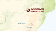 Qwabi Private Game Reserve African Safari Experience
