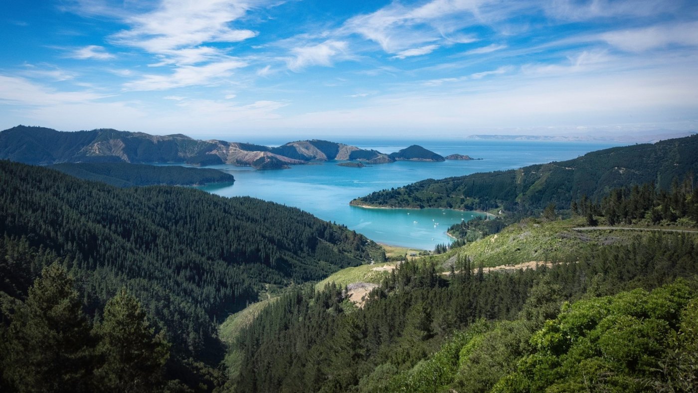 Picton
