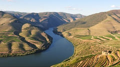 Douro Valley 