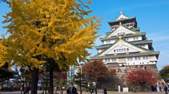 Osaka Castle - Japan