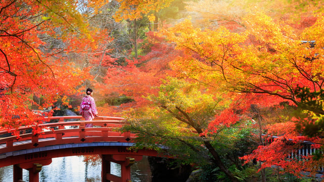 Japan Autumn Voyage — Cruise Tokyo-Singapore over one epic month! (Nov 2026)