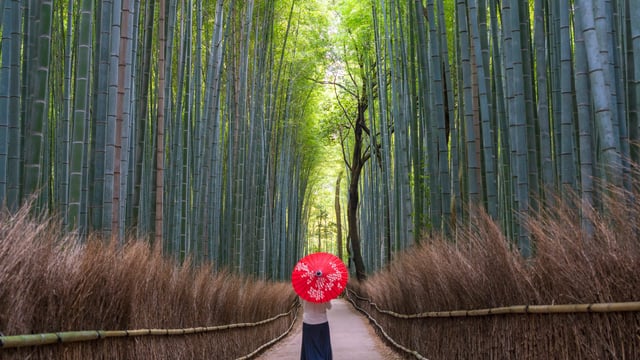 Southeast Asia Explorer Cruise from Singapore-Tokyo (Feb 2027)