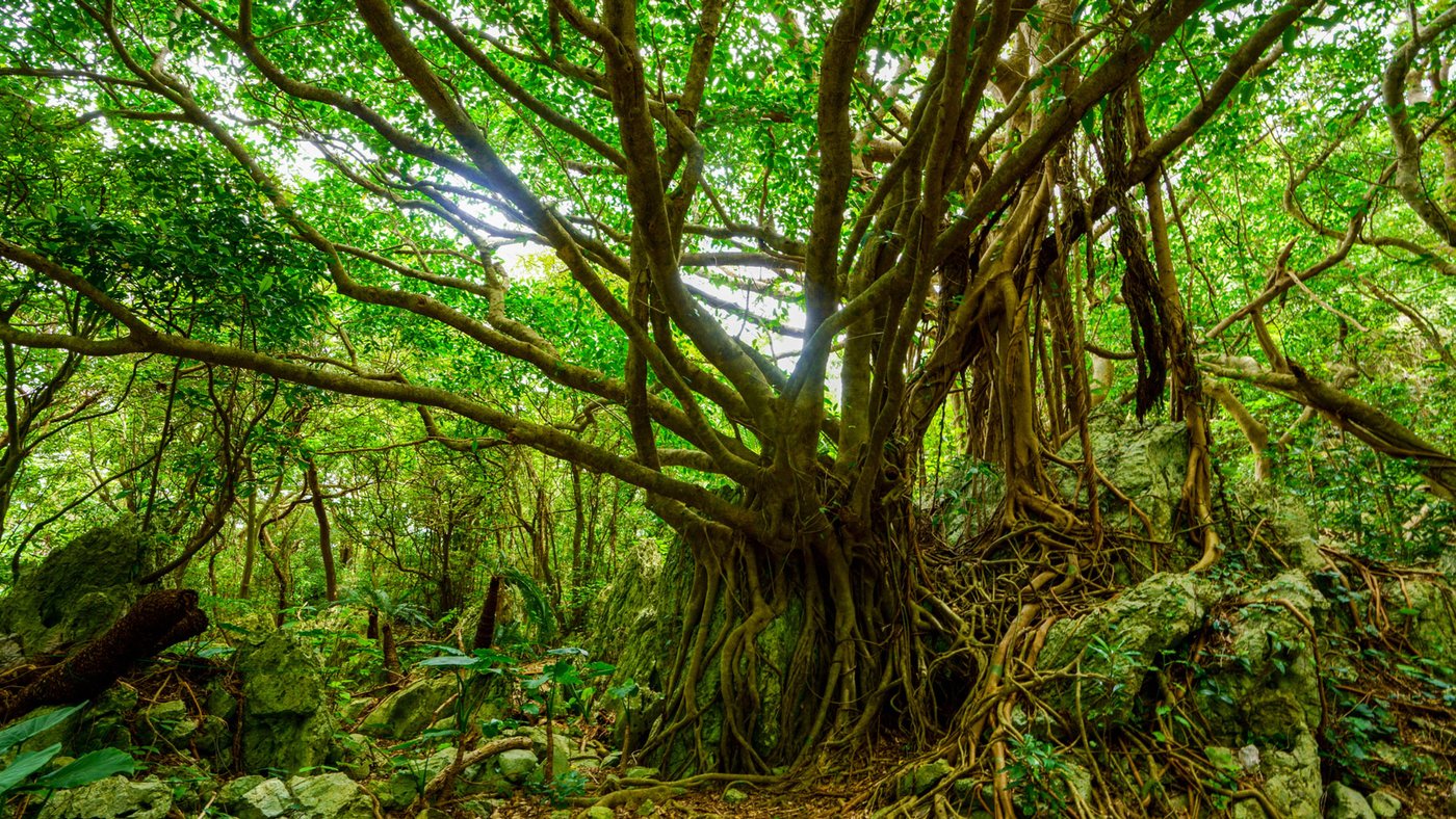 Okinawa, Japan