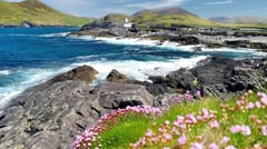 Wild Atlantic Way Country - Kerry - Ireland 