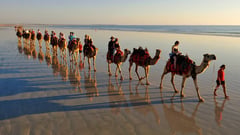 Read on for the amazing day-by-day itinerary...