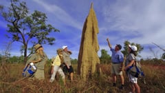 Read on for the amazing day-by-day itinerary...