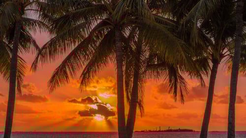 New Caledonia