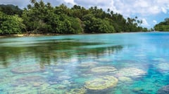 Alotau (Milne Bay), Papua New Guinea