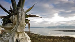 Vigo, Spain 