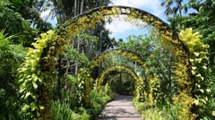 Singapore - Botanic Gardens 