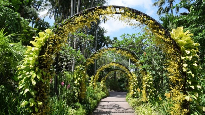 Singapore - Botanic Gardens 
