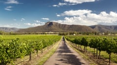 Hunter Valley 