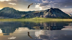 New Zealand Landscape 