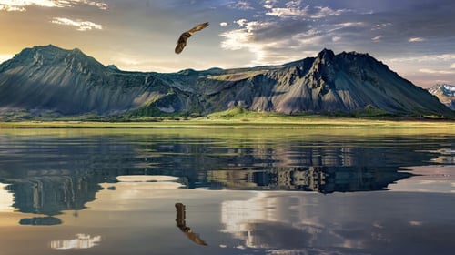 New Zealand Landscape 