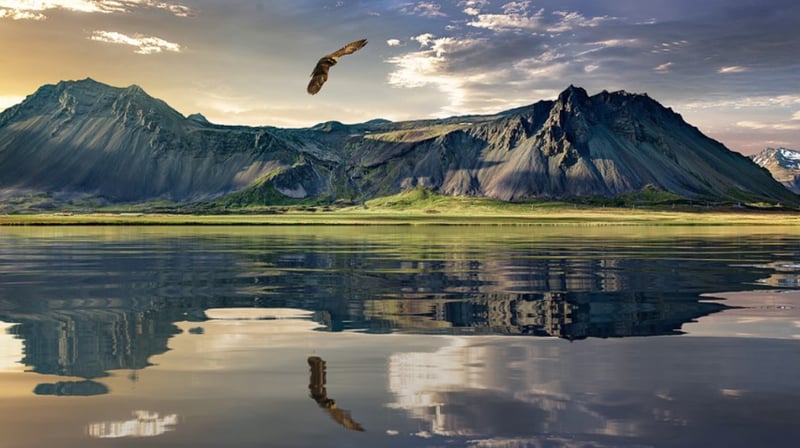New Zealand Landscape 