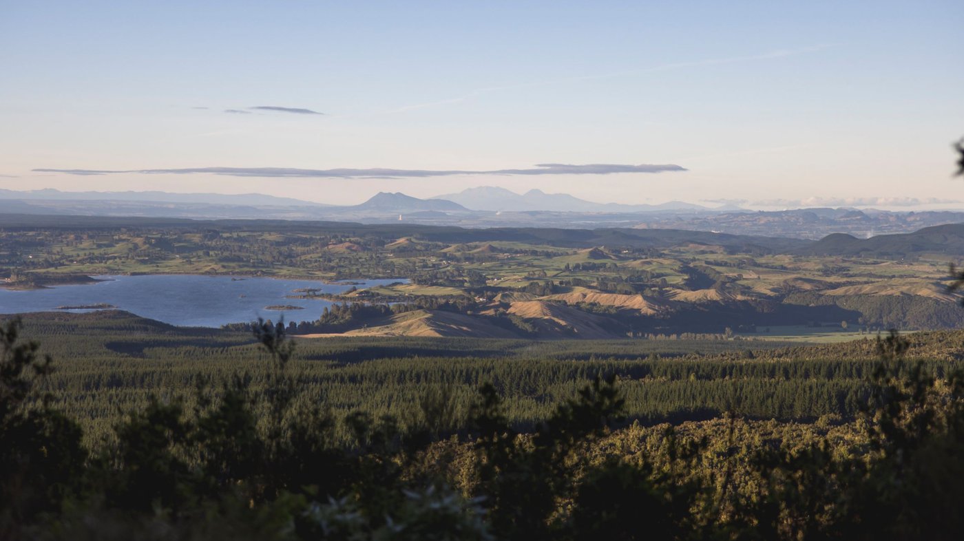 Rotorua - Bay of Plenty - NZ 